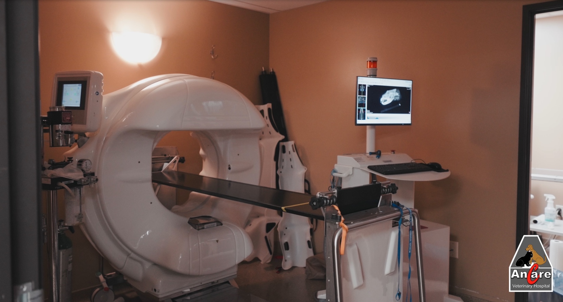 Cat Scans for Dogs or Cats at Ancare Veterinary Hospital