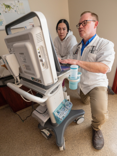 Consulting Ultrasound at Ancare Vet Hospital in LaSalle, IL