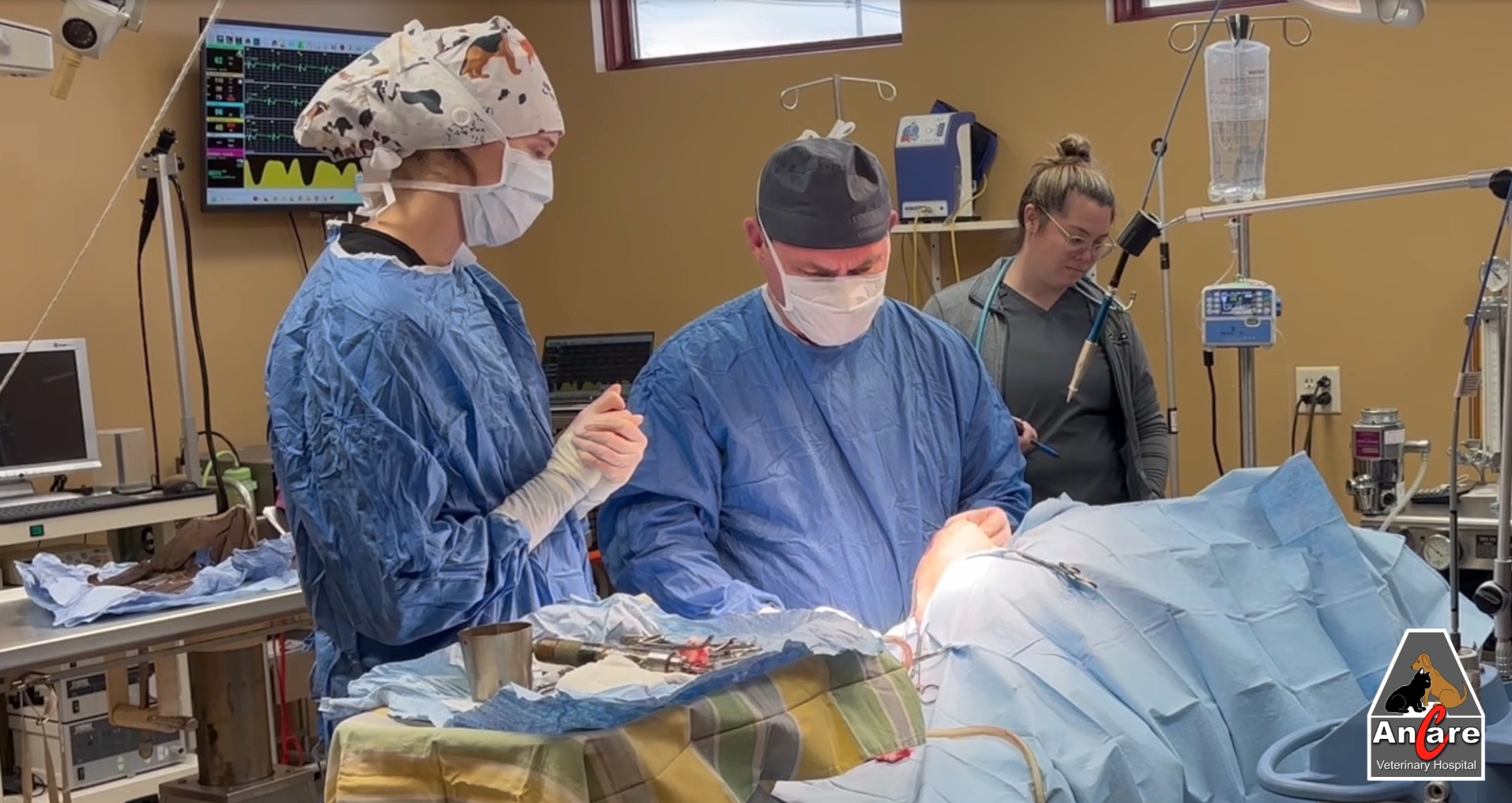 Dr. Dullard performing surgery at Ancare Vet Hospital